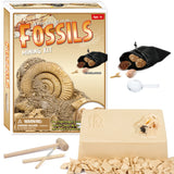 Archaeological children's puzzle exploration excavation toys