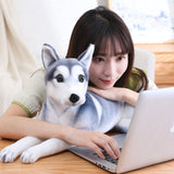 Cartoon Husky Doll Plush Toy